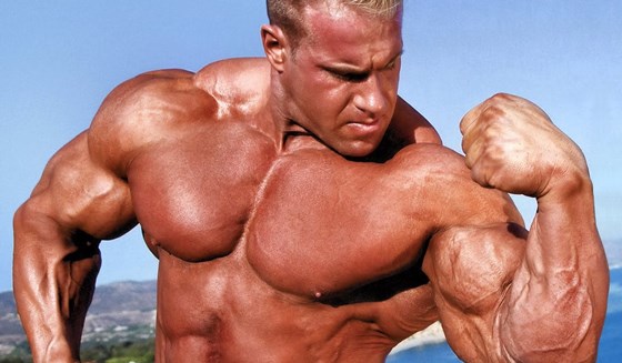 Somatodrol: Wauley Paul